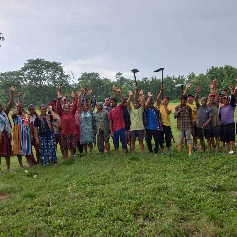 Jhapa Plantation 2025