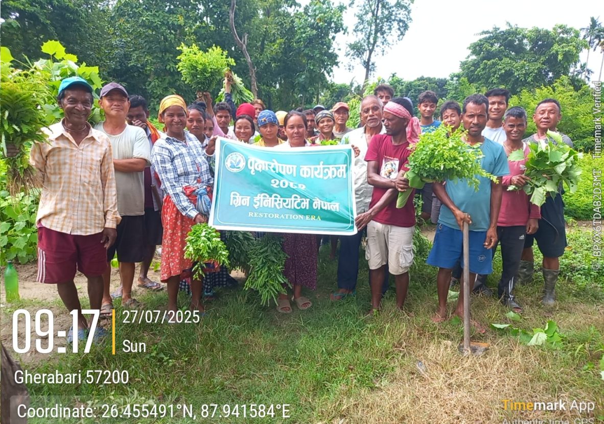 Jhapa Plantation 2025