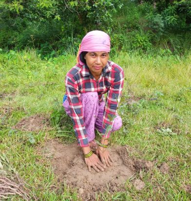 Jodhipur Plantation 2025