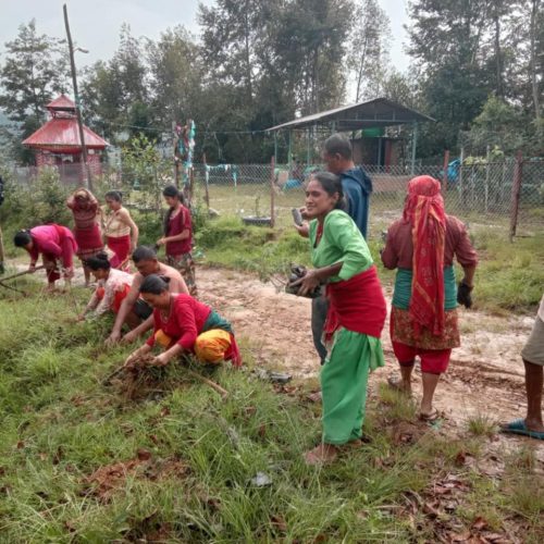 Panauti Kavre Plantation 2025